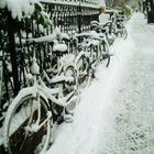 bicycles in berlin