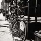 Bicycles, Tribeca