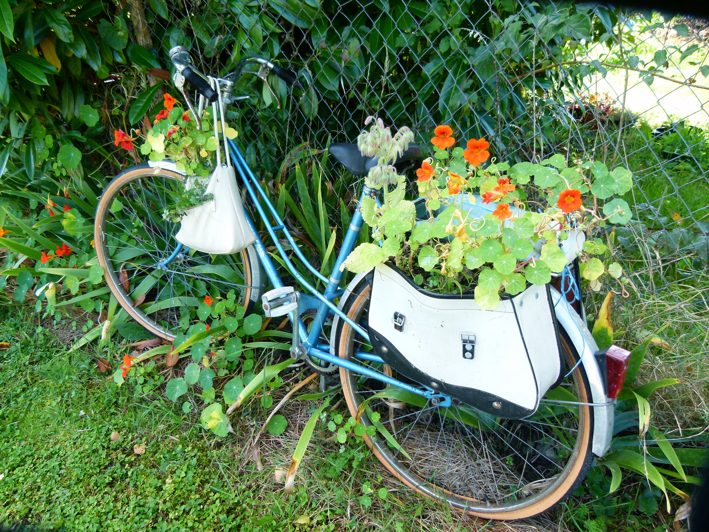 Bicyclette bleue