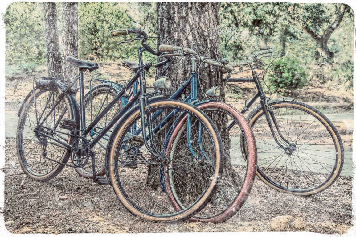 Bicyclettes contre arbre