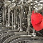 bicyles and red cap