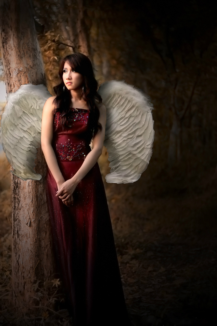 bidadari kesunyian ( lonely angel)