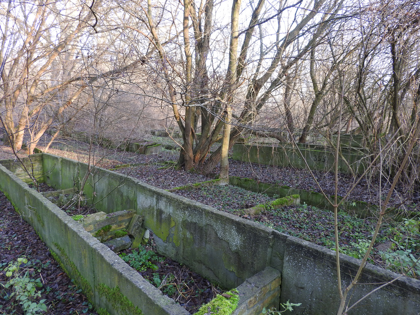 Bieberfarm Sachsenhausen