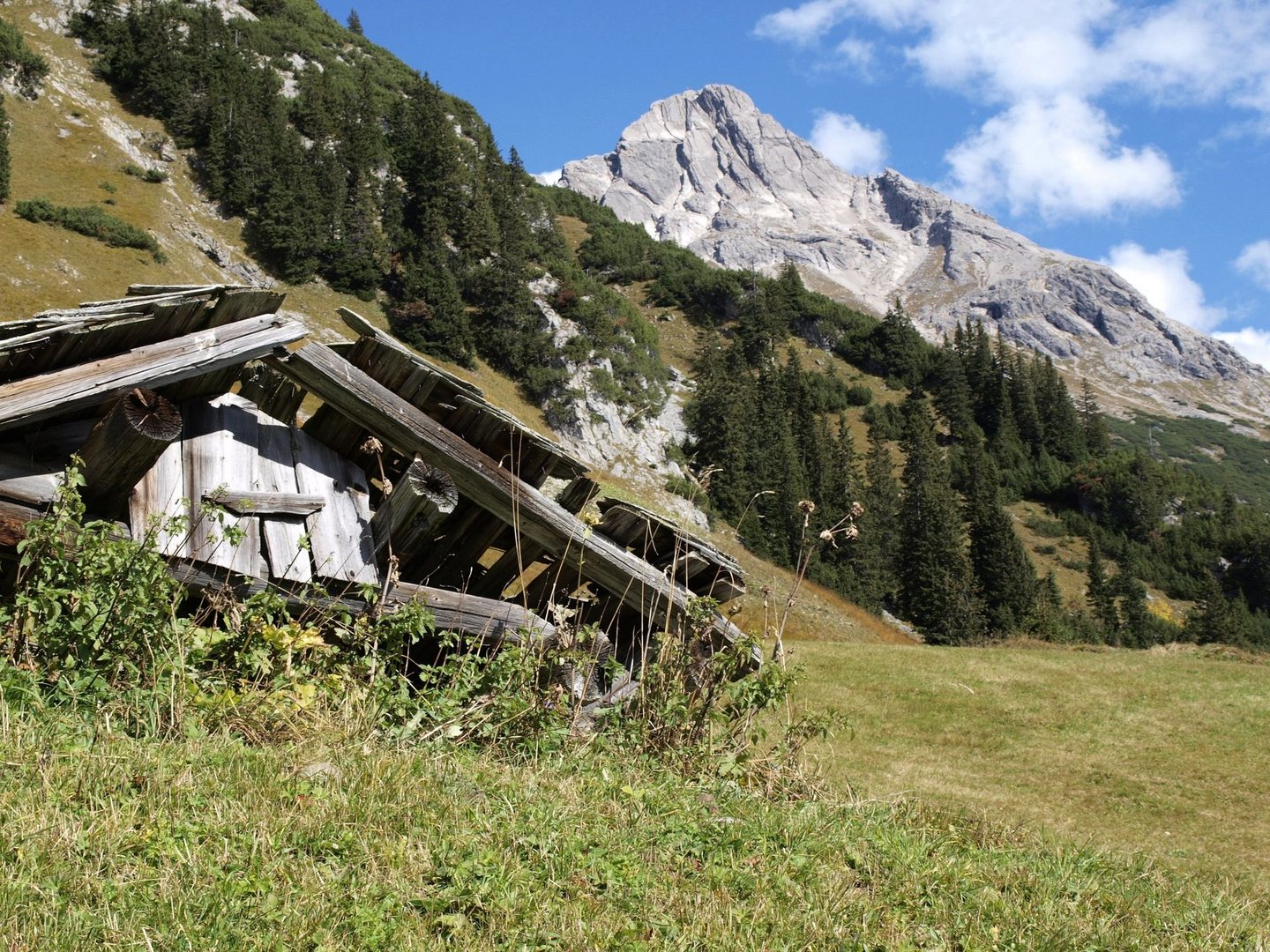 Bieberkopf im Herbstlicht