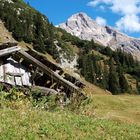 Bieberkopf im Herbstlicht