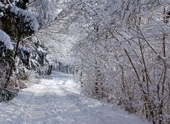 Biebertalrundweg