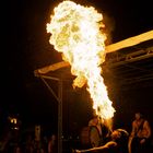 Biebesheim 2011: Feuershow