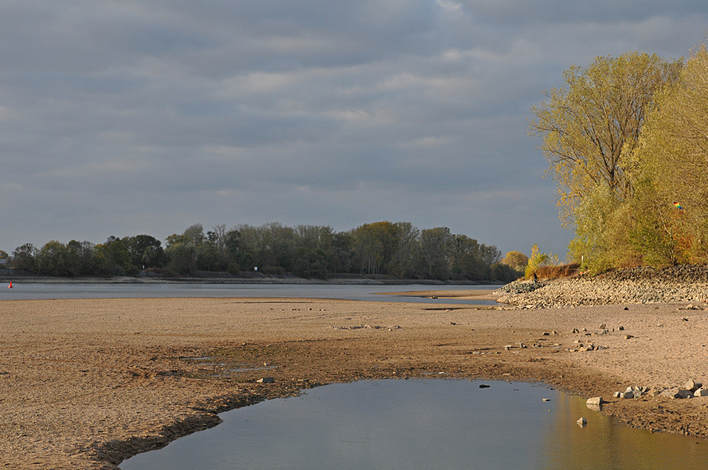 Biebesheim 2018: Da war mal mehr Rhein 01