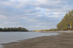 Biebesheim 2018: Da war mal mehr Rhein 02