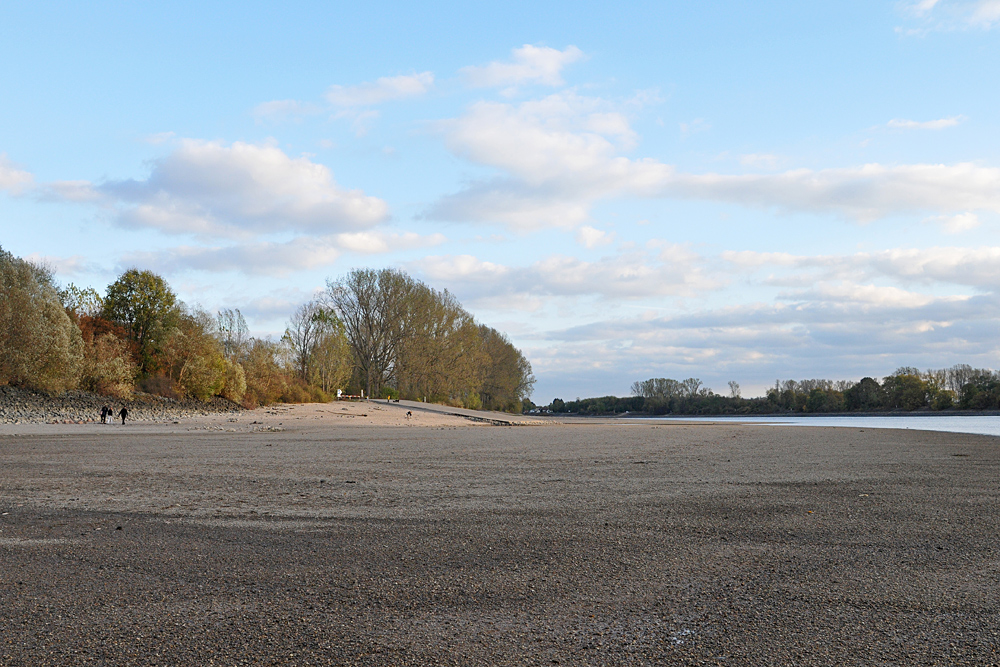 Biebesheim 2018: Da war mal mehr Rhein 03