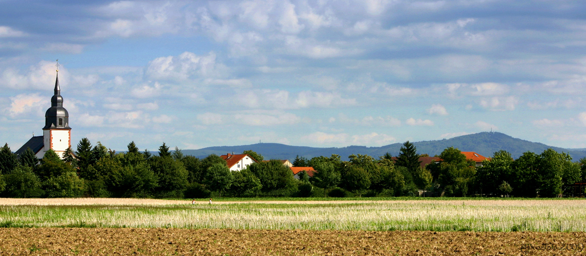 Biebesheim