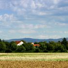 Biebesheim