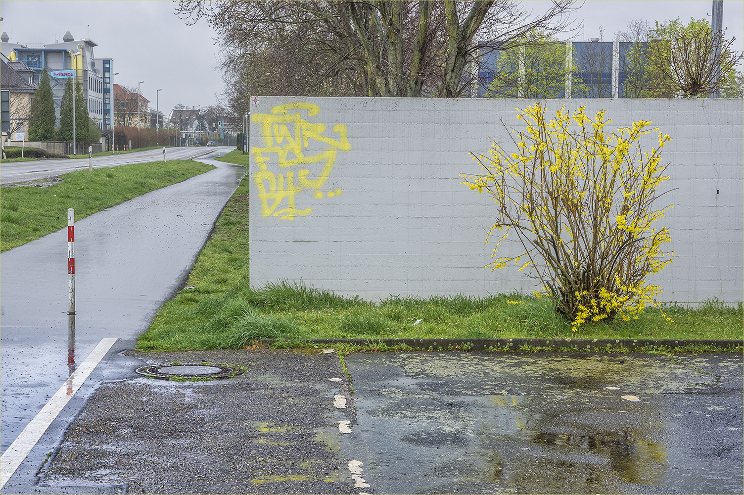 biebesheimer frühling