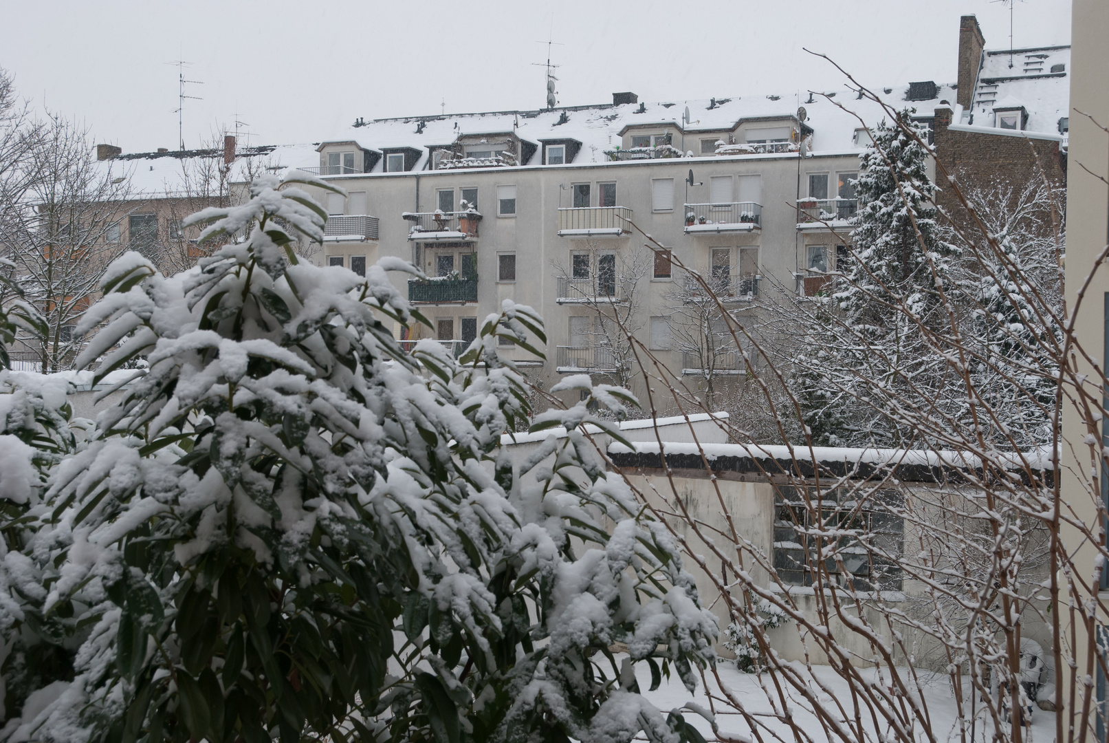 Biebricher Hinterhofromantik im Schnee