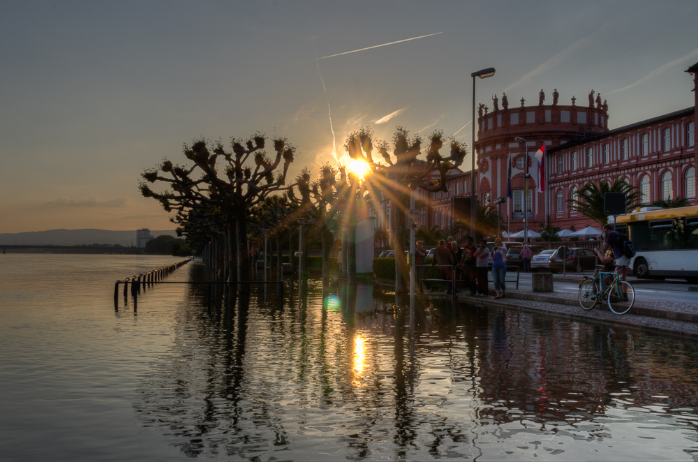 Biebricher Schloss beim Rheinhochwasser 2013