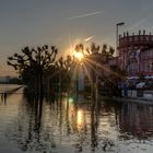 Biebricher Schloss beim Rheinhochwasser 2013