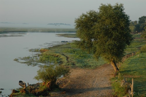 Biebrza river at morning