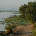 Biebrza river at morning