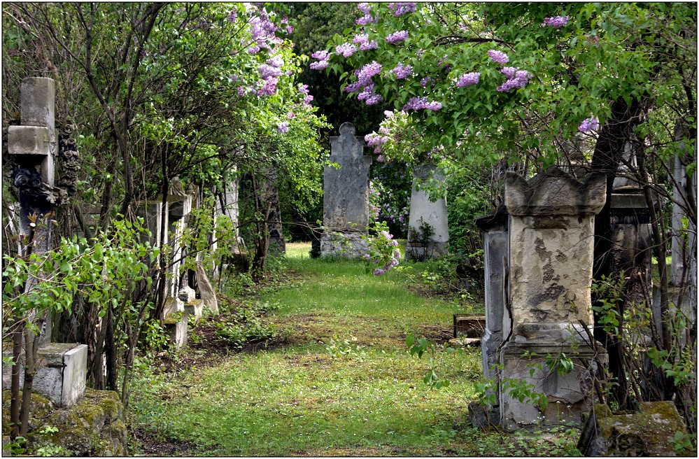 ... Biedermeierfriedhof ...