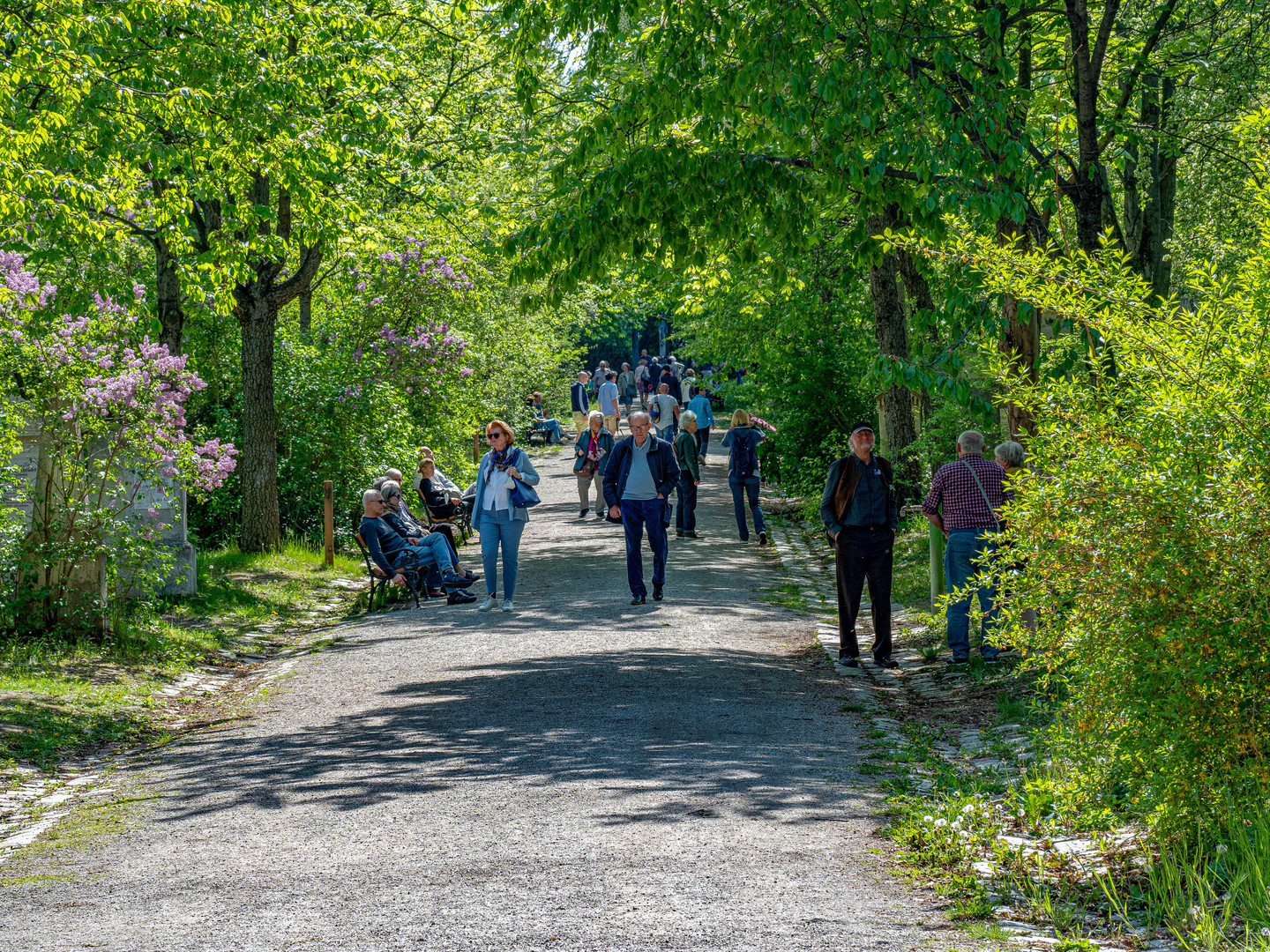 Biedermeierfriedhof (2)