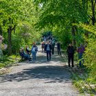 Biedermeierfriedhof (2)