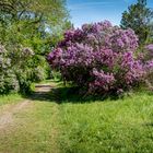 Biedermeierfriedhof (3)