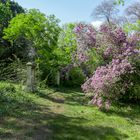 Biedermeierfriedhof (4)