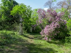 Biedermeierfriedhof (4)