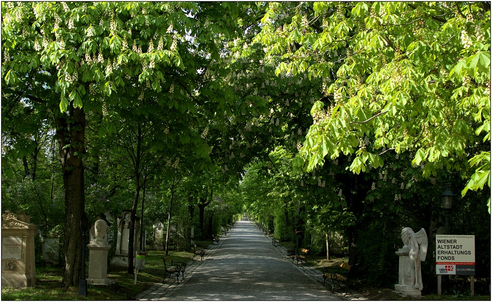 ... Biedermeierfriedhof St. Marx ...