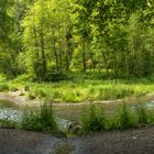 Biegung der Raab in der Kleinen Raabklamm