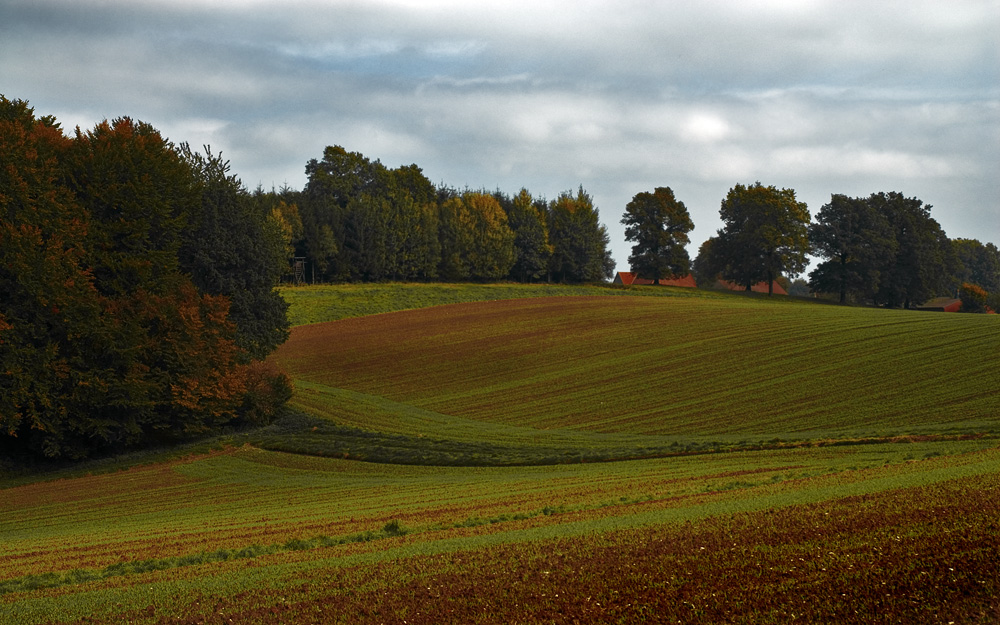 Bielefeld