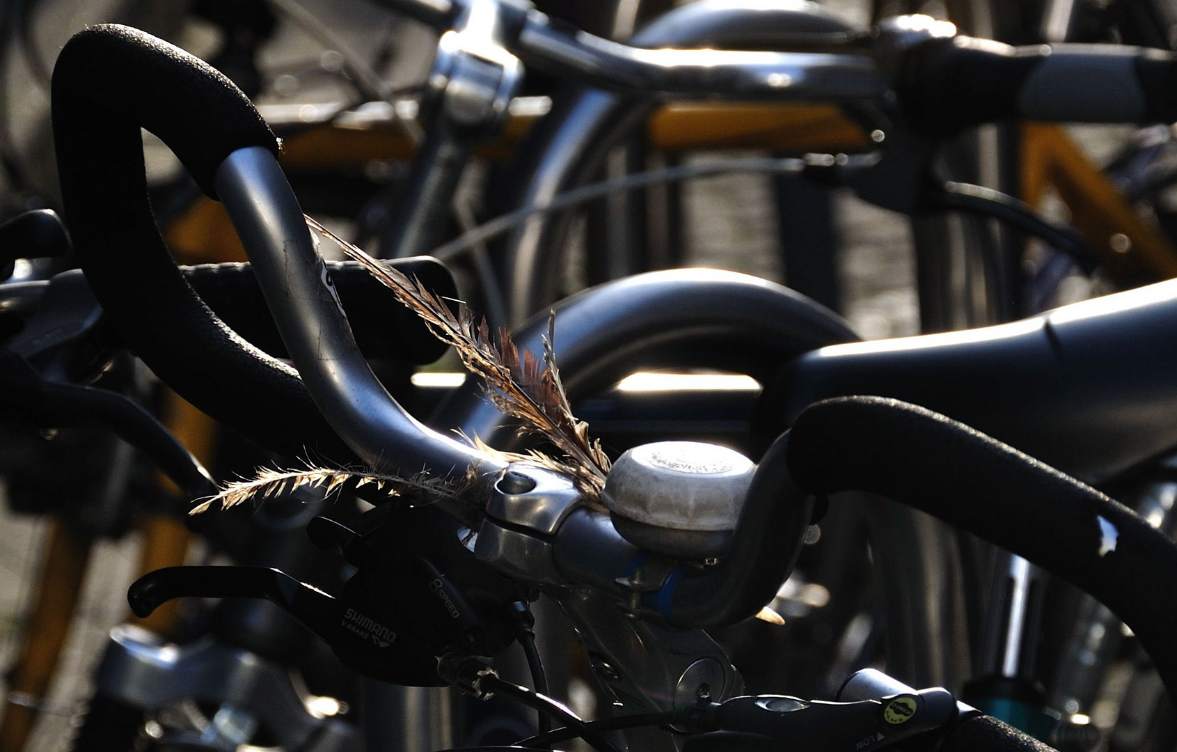 Bielefeld - die fahrradfreundliche Stadt ...