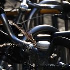Bielefeld - die fahrradfreundliche Stadt ...
