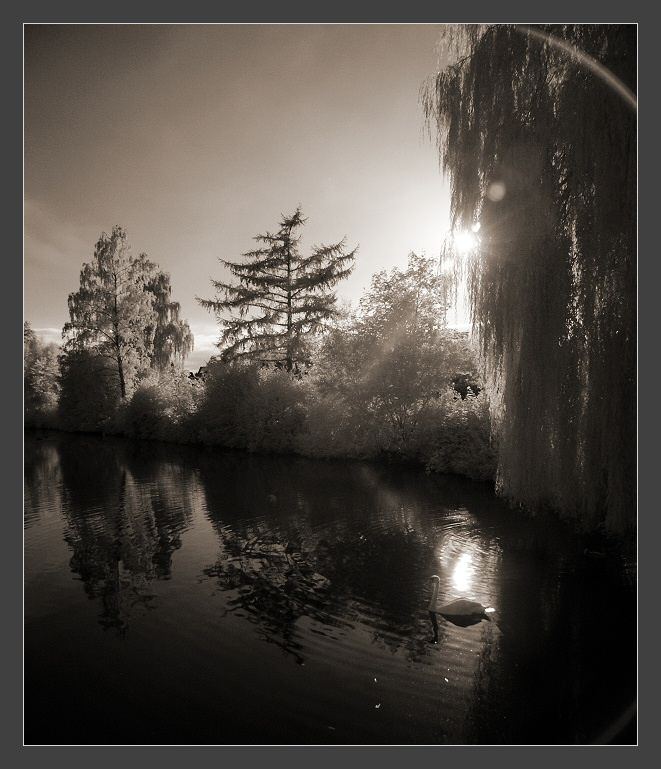 Bielefeld :: Stausee der Lutter