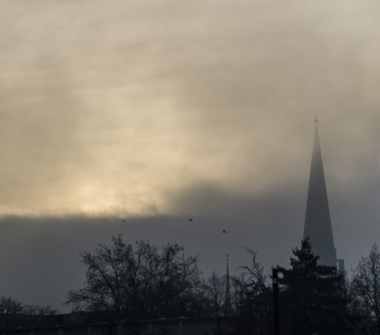 Bielefelder Kirchturm im Nebel