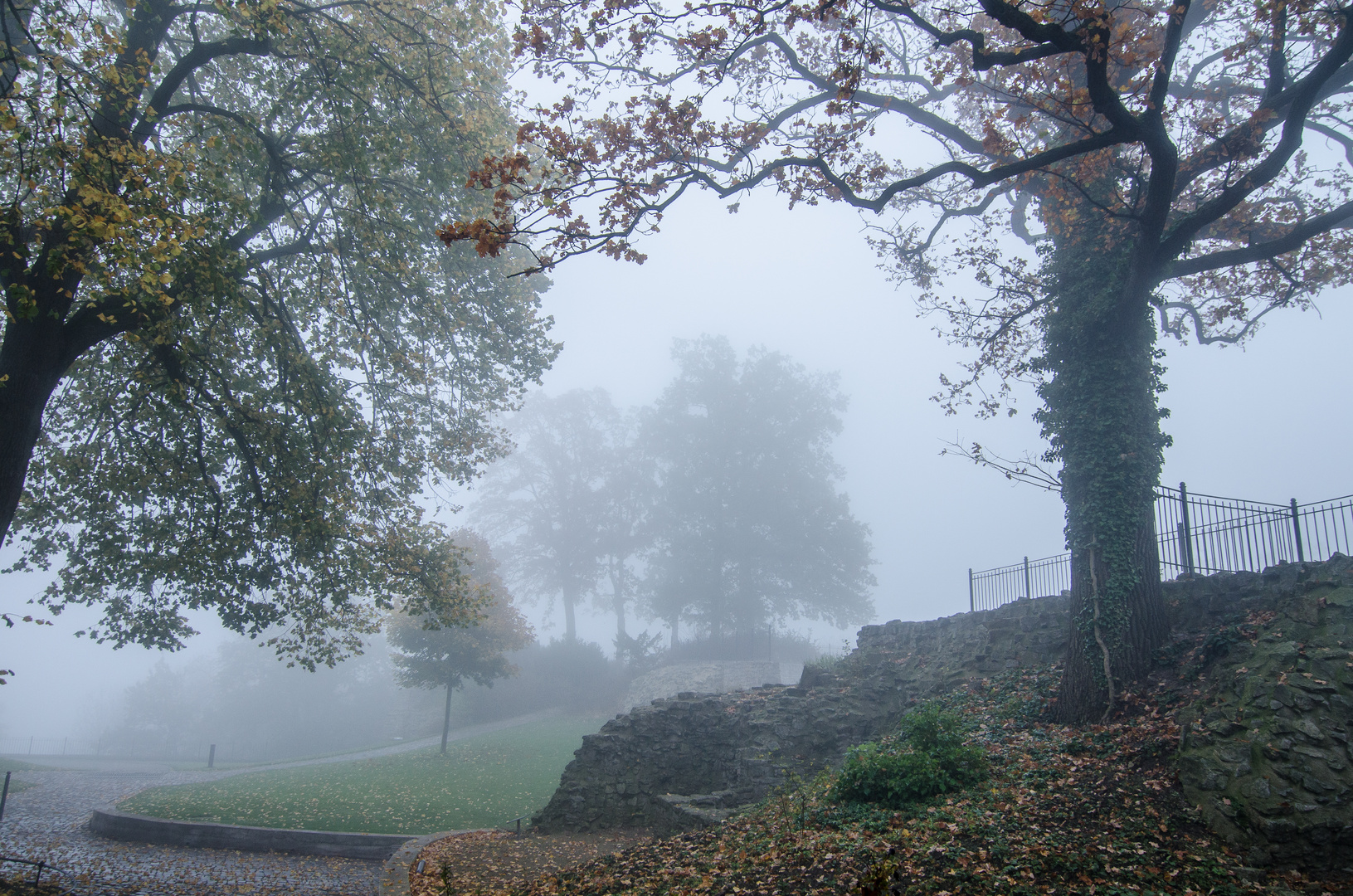 Bielefelder Nebel 2