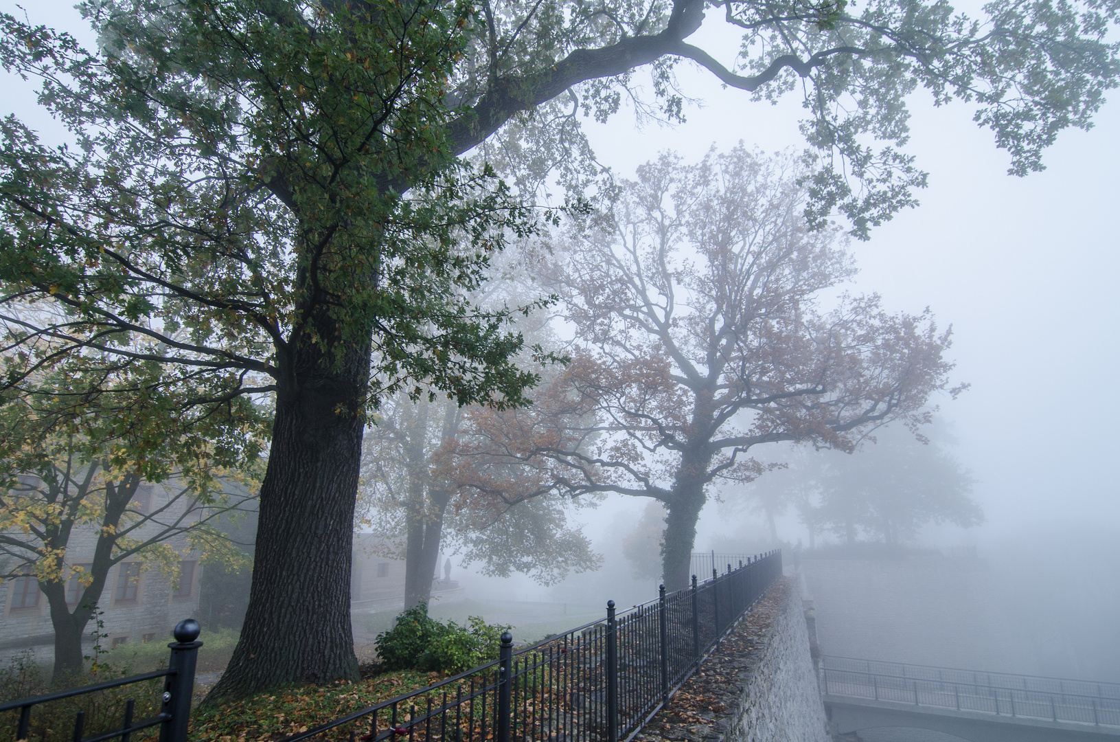 Bielefelder Nebel