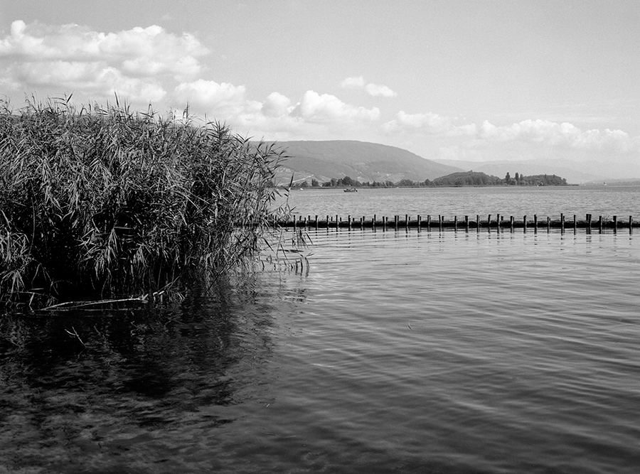 Bielersee