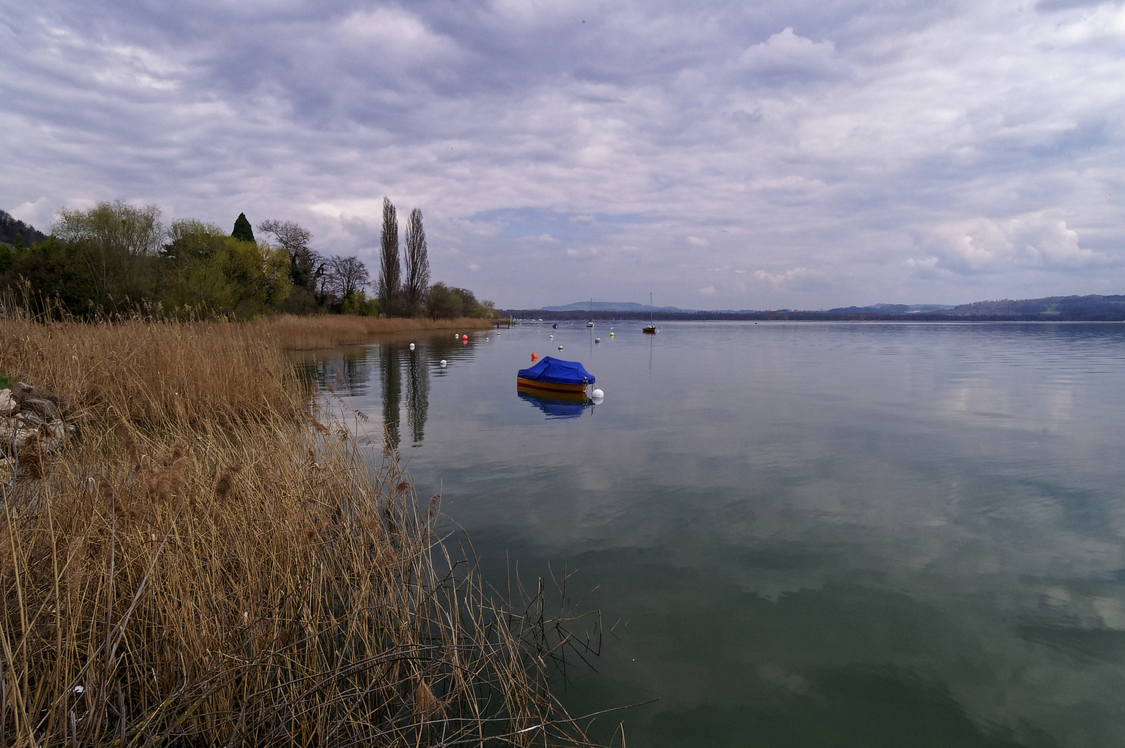 Bielersee