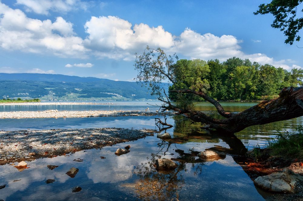 Bielersee bei Hagneck