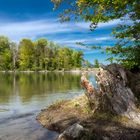 Bielersee bei Hagneck