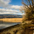 Bielersee bei Täuffelen