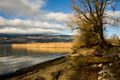 Bielersee bei Täuffelen