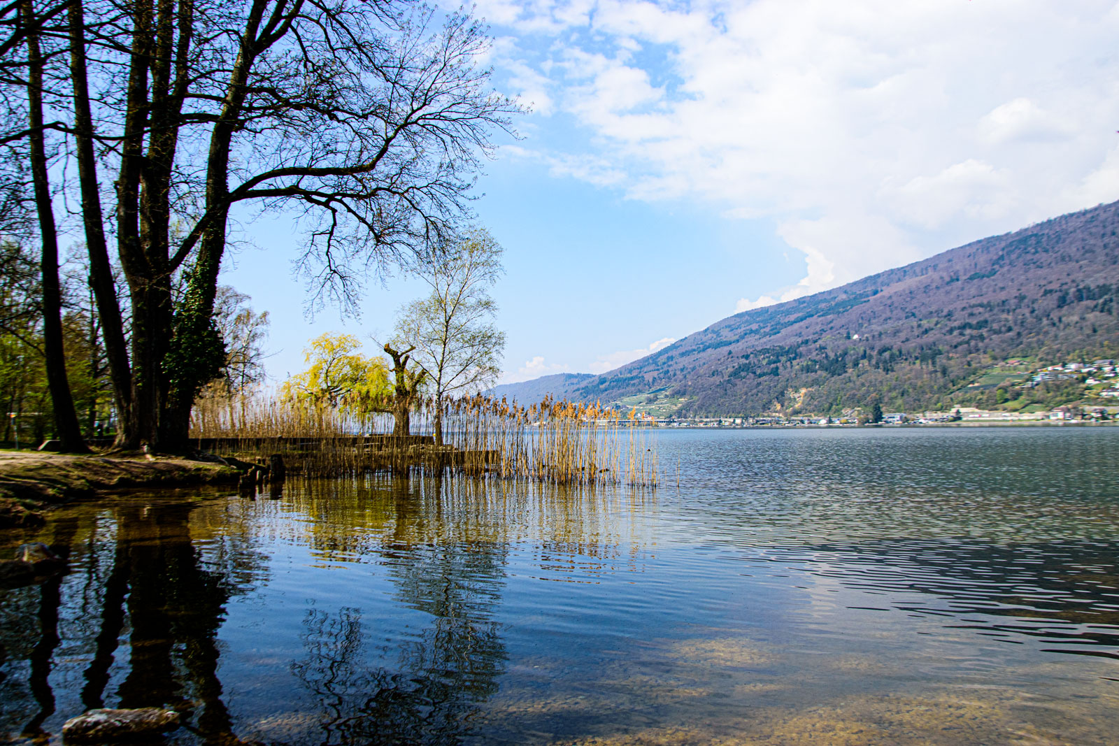 Bielersee