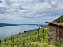 bielersee