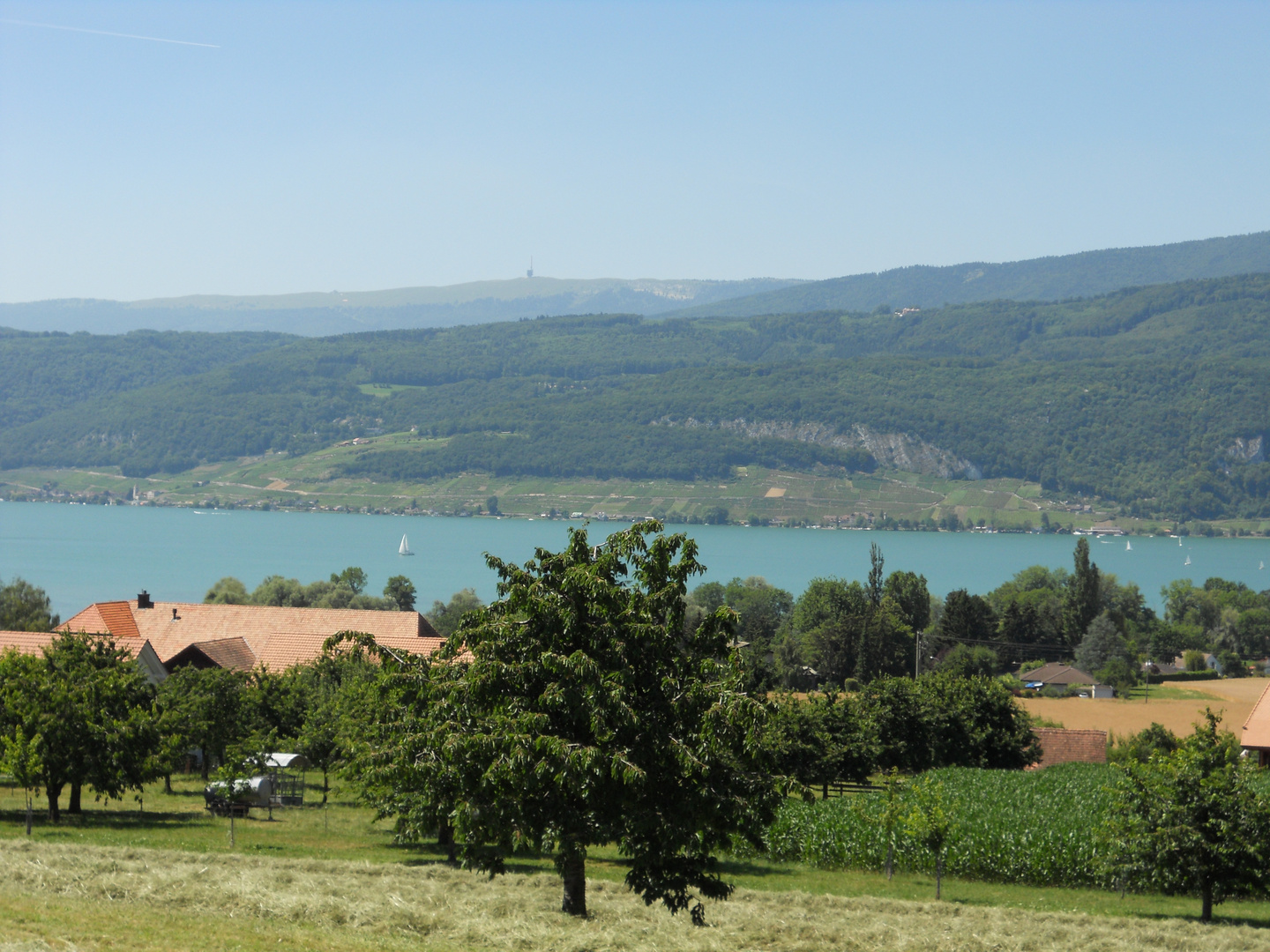 Bielersee im Hintergrund der Chasseral