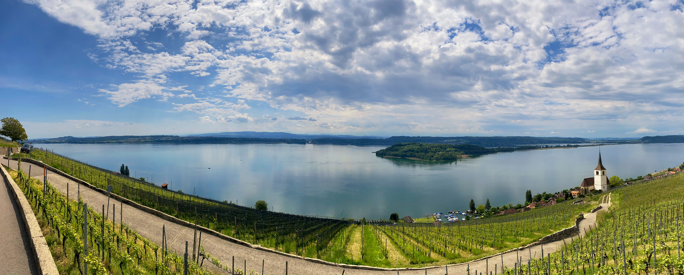 Bielersee Ligerz