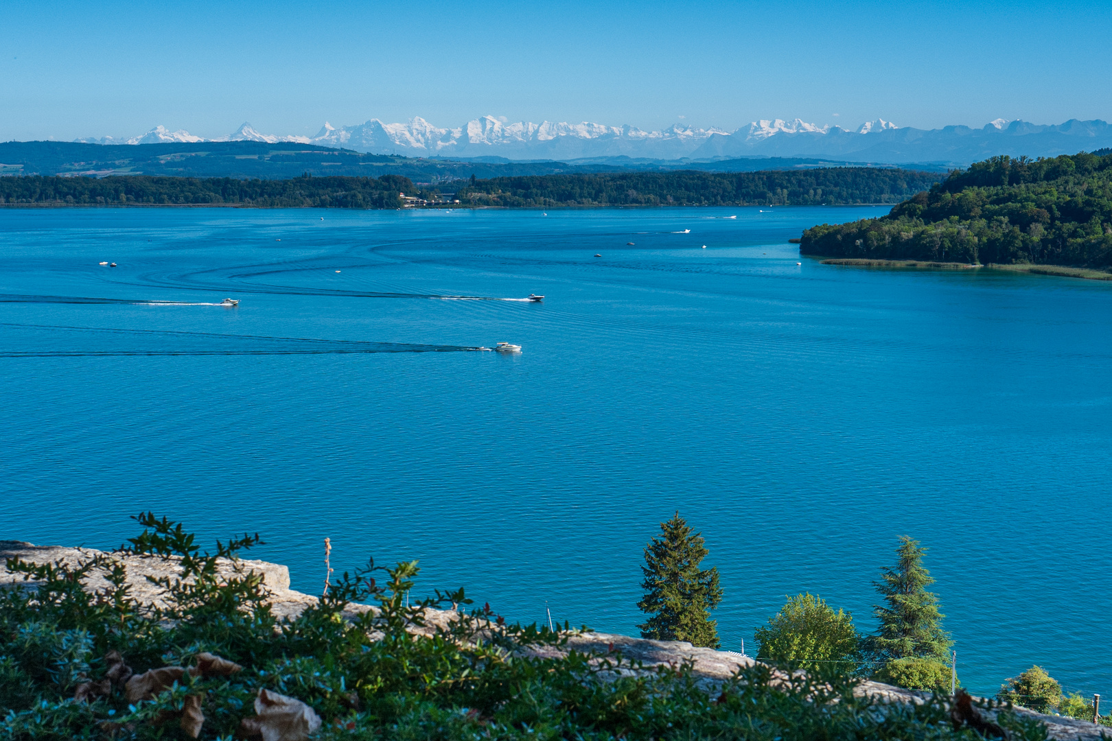 Bielersee mit Alpenpanorama