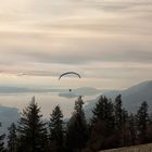 Bielersee Seeland II