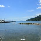 Bielersee Strandboden Sicht auf St. Petersinsel